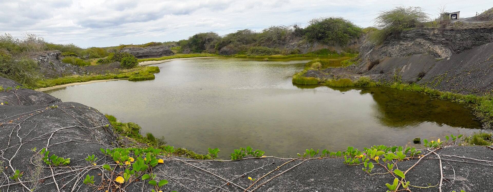 A broad lagoon and low vegetation near Puerto Villamil