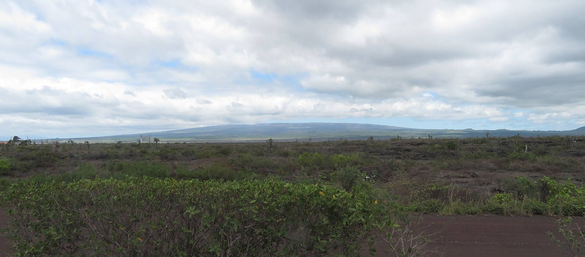 The volcanic interior seen from Puerto Villamil, rather than a trailhead location.