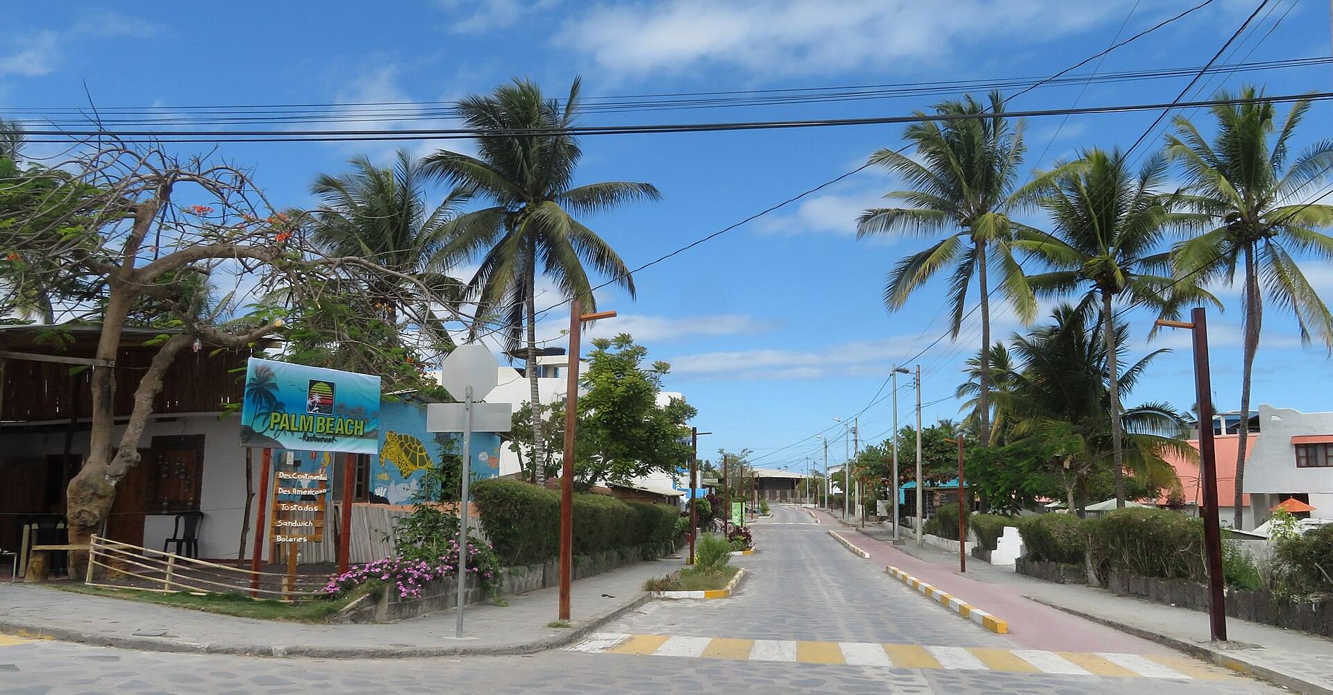 Palms and buildings on a central Puerto Villamil street